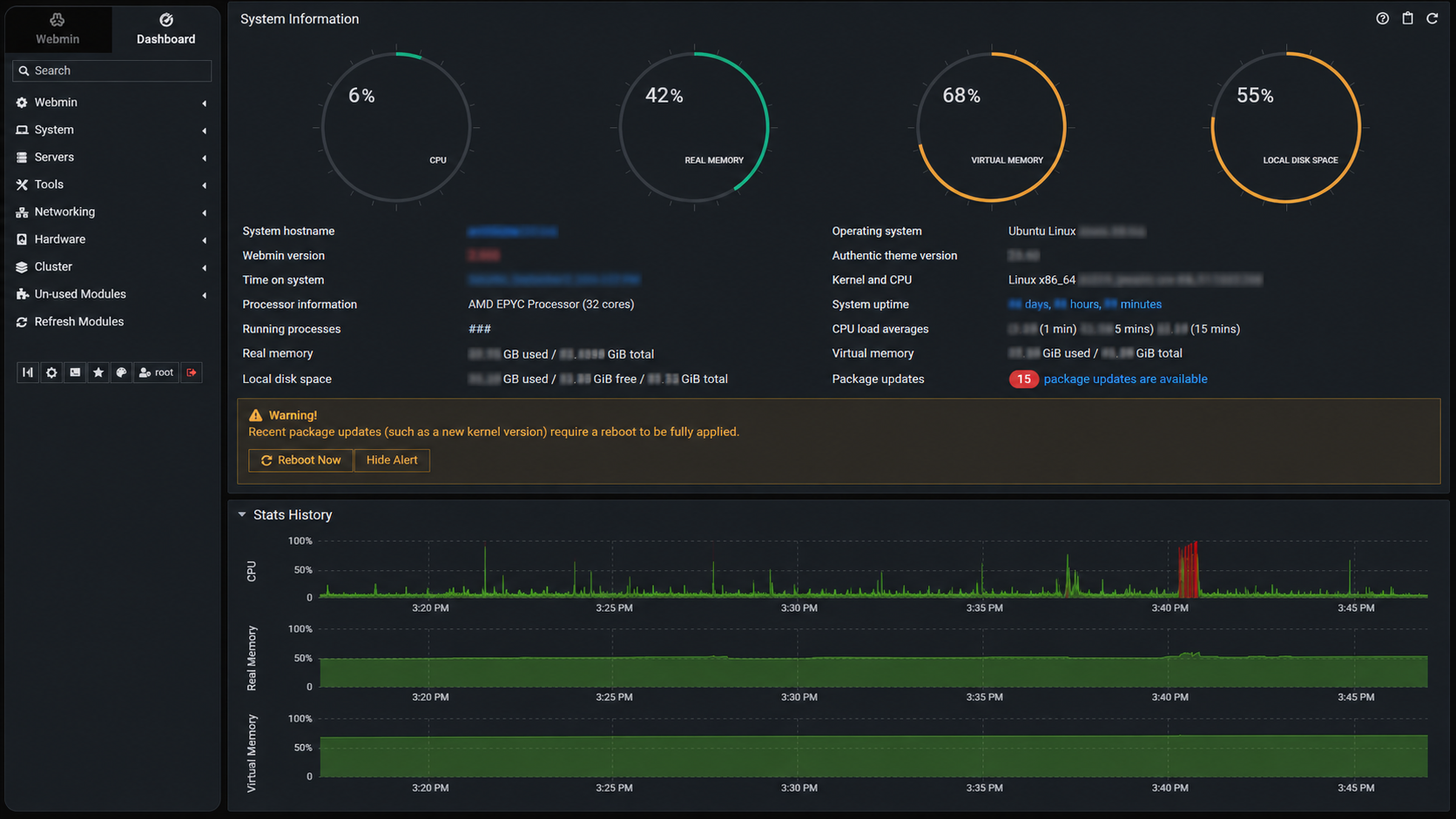 Real Linux server resource and health monitoring workspace with private information redacted